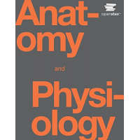 Imagem da oferta eBook Anatomy and Physiology (Inglês) - Vários Autores