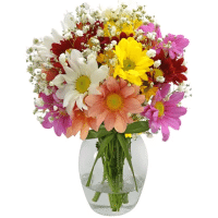 Imagem da oferta Delicado Mix de Flores Silvestres