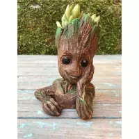 Imagem da oferta Vaso Groot Para Cactos E Suculentas