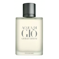 Imagem da oferta Perfume Acqua Di Giò Pour Homme Edt 50ml + Amostras