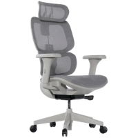 Imagem da oferta Cadeira Ergonômica Elements Siggy