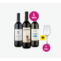 Imagem da oferta Kit 3 Vinhos por 99 - Europeus Tintos + Taça Cristal Grátis | Wine