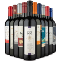 Imagem da oferta Kit 10 Vinhos Tintos