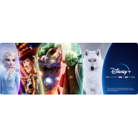 Imagem da oferta Ganhe de 2 até 6 Meses Grátis de Disney+ com Cartões Bradesco