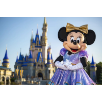 Imagem da oferta Pacote de Viagem Orlando - Passagem de ida e volta + Hospedagem 7 Diárias