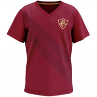 Imagem da oferta Camiseta Fluminense Sair Braziline