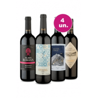 Imagem da oferta Kit 4 Vinhos 750ml - Tour Mundial de Tintos