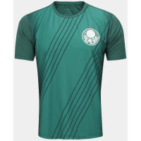 Imagem da oferta Camiseta Palmeiras Superação - Masculina