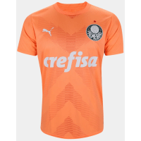 Imagem da oferta Camisa Palmeiras III 23/24 s/n° Goleiro Puma Masculina