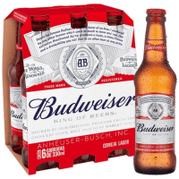 Imagem da oferta Pack 6 Unidades Cerveja Budweiser 330ml