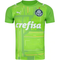 Imagem da oferta Camisa do Palmeiras Puma Goleiro II 2021 - Masculina