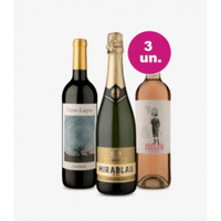 Imagem da oferta Kit 3 Vinhos por 99 - Degustação Espanhola - Oferta Insana Wine