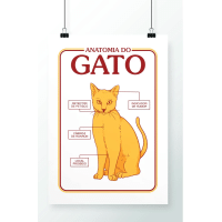 Imagem da oferta Poster Anatomia Do Gato