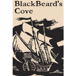Imagem da oferta Jogo Blackbeard's Cove - PC