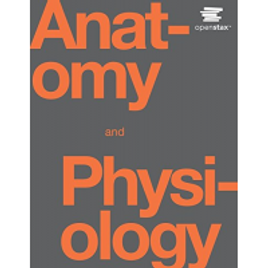 Imagem da oferta eBook Anatomy and Physiology (Inglês) - Vários Autores