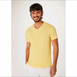 Imagem da oferta Camiseta Básica Masculina Slim Em Malha Flamê Hering