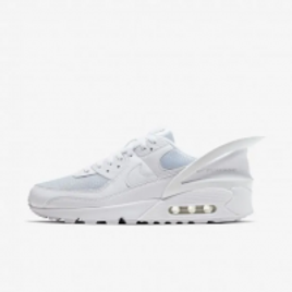 air max 90 fly