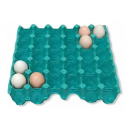 Imagem da oferta 100 Unidades Cartela Para 30 Ovos Papelão