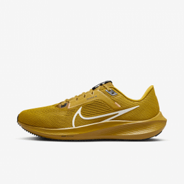 Imagem da oferta Tênis Nike Pegasus 40 Masculino - Tam 39