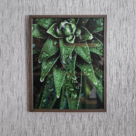 Imagem da oferta Quadro Decorativo Tropicaly Green II 40x50cm