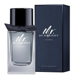 Imagem da oferta Perfume Mr Burberry Indigo EDT 100ml - Masculino