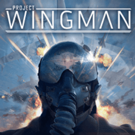 Imagem da oferta Jogo Project Wingman - PC Steam