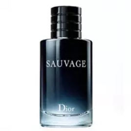 Imagem da oferta Perfume Dior Sauvage Masculino EDT - 100ml