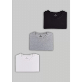 Imagem da oferta Kit com 3 Camisetas Hering  Básicas - Femininas Tam M