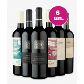 Imagem da oferta Kit 6 Vinhos - V9 Reserva Partridge Flying e Capitán Tomá