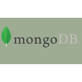 Imagem da oferta Curso Guia do MongoDB - Google Cloud, NoSQL, Alta disponibilidade