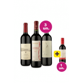 Imagem da oferta Kit 3 por 99 - Campeões Wine + Paine 375ml Grátis