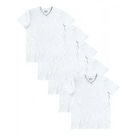 Kit 5 Camisetas Básicas Masculina Flamê Com Decote V Hering