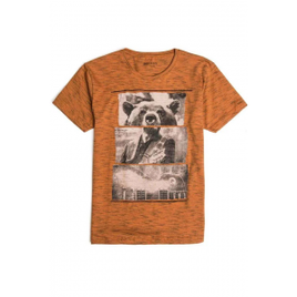 Imagem da oferta Camiseta Estampada Infantil Masculino Caramelo - Taco