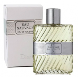 Imagem da oferta Perfume Eau Sauvage Dior 100ml EDT - Masculino