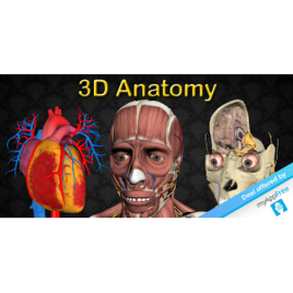 Jogo 3D Anatomy - Android