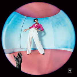 Disco de Vinil Fine Line