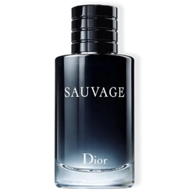 Imagem da oferta Perfume Dior Sauvage Masculino EDT - 100ml