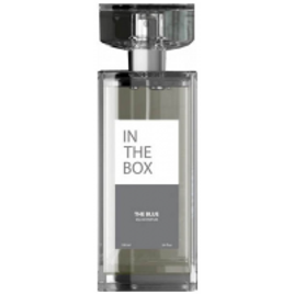 Perfume Masculino Chanel IN The Box The Blue EDP - 100ml