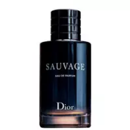Imagem da oferta Perfume Dior Sauvage Masculino EDP - 100ml
