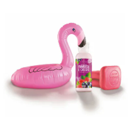Imagem da oferta Presente Naturals Flamingo