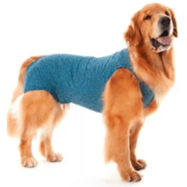 Imagem da oferta Roupa Pós-Cirúrgica para Cães Machos Castração Pet Med Azul Nº 16