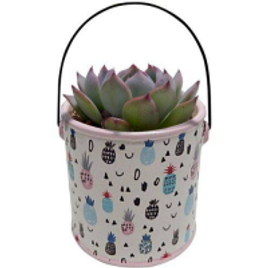 Imagem da oferta Vaso de Cerâmica Branco Pineapple CAN Urban