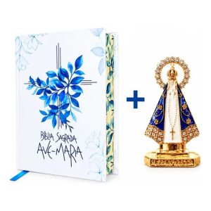 Bíblia Sagrada Católica Ave Maria Capa Dura Flores Aparecida Imagem Santinha Carro