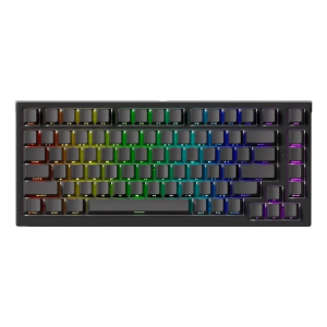 Akko TAC75 HE Keyboard 75% ANSI Layout Magnetic Switch RT0.005mm Rapid Trigger 8K Polling Rat