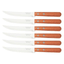 Imagem da oferta Conjunto De Facas Para Churrasco Tramontina Dynamic Com Lâminas Em Aço Inox E Cabos De Madeira Natural 6 Peças