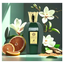 Imagem da oferta Perfume Maison Alhambra Philos Messenger EDP 100ml