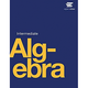 eBook Intermediate Algebra (Inglês) - Lynn Maracek