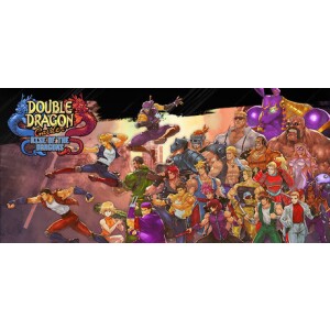 Double Dragon Gaiden: Rise Of The Dragons