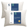Imagem da oferta Kit 2 Travesseiro Antialérgico 50x70