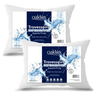 Imagem da oferta Kit C2 Travesseiros 50x70 Branco